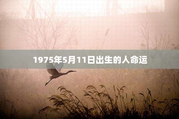 1975年5月11日出生的人命运