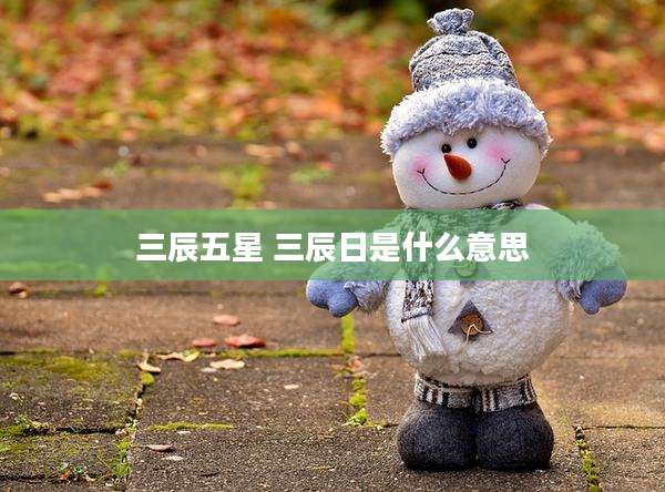 三辰五星 三辰日是什么意思