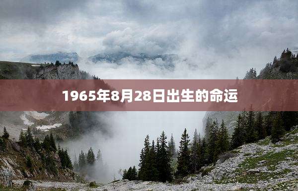 1965年8月28日出生的命运