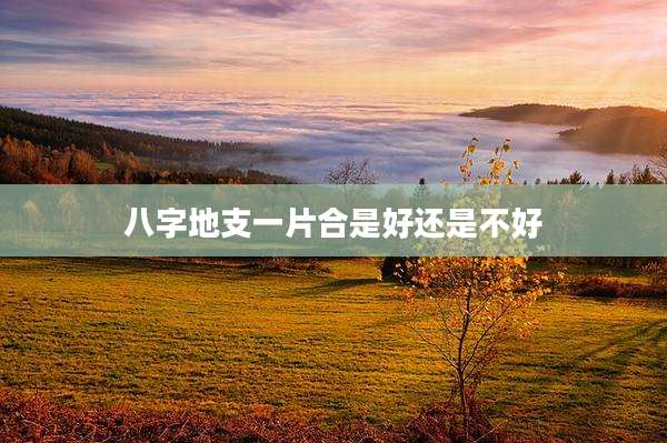 八字地支一片合是好还是不好
