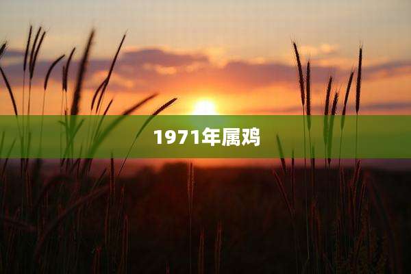 1971年属鸡