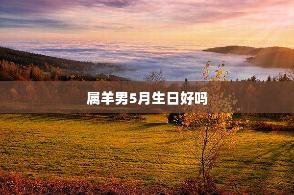 属羊男5月生日好吗
