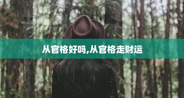 从官格好吗,从官格走财运