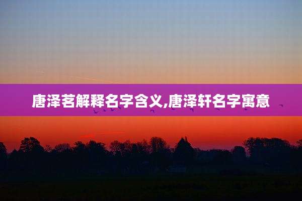 唐泽茗解释名字含义,唐泽轩名字寓意
