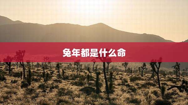 兔年都是什么命