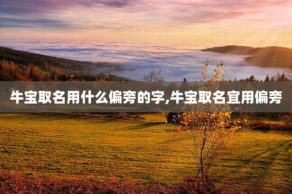 牛宝取名用什么偏旁的字,牛宝取名宜用偏旁