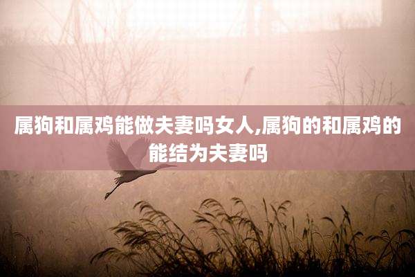 属狗和属鸡能做夫妻吗女人,属狗的和属鸡的能结为夫妻吗