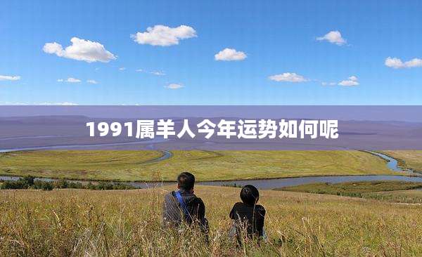 1991属羊人今年运势如何呢