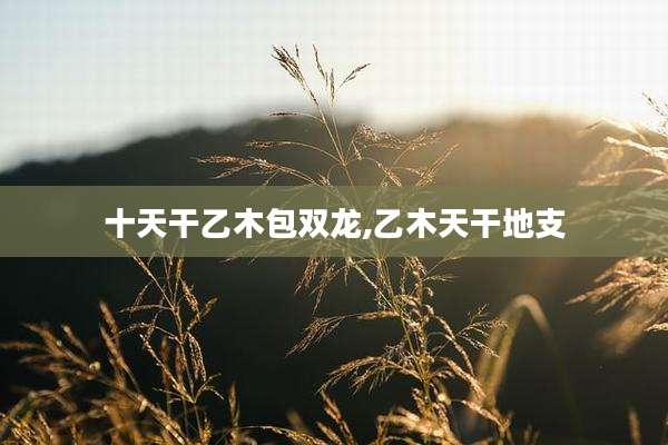 十天干乙木包双龙,乙木天干地支