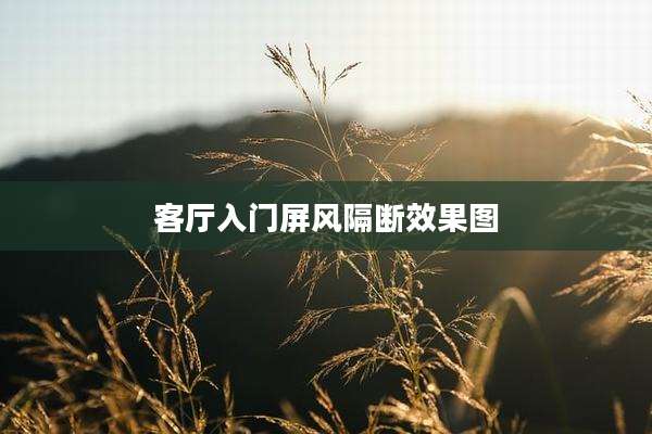 客厅入门屏风隔断效果图