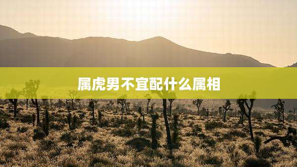 属虎男不宜配什么属相
