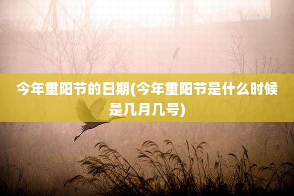 今年重阳节的日期(今年重阳节是什么时候是几月几号)