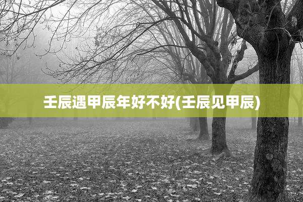 壬辰遇甲辰年好不好(壬辰见甲辰)