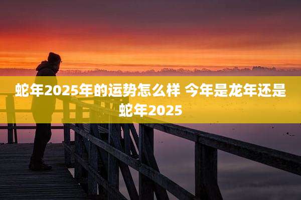 蛇年2025年的运势怎么样 今年是龙年还是蛇年2025