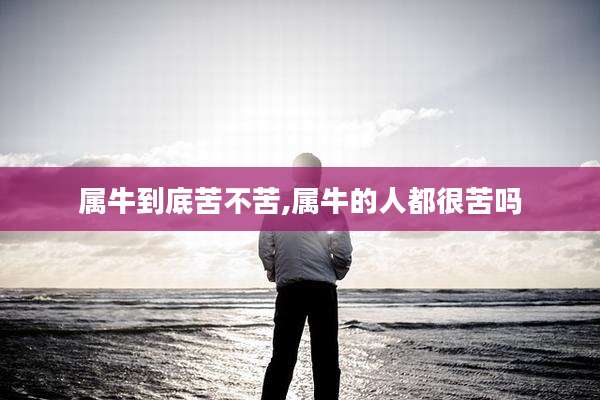属牛到底苦不苦,属牛的人都很苦吗