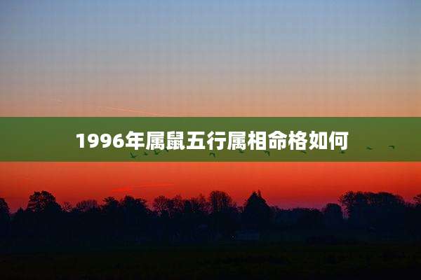 1996年属鼠五行属相命格如何