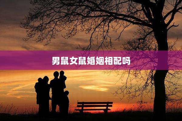男鼠女鼠婚姻相配吗