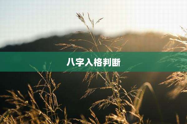 八字入格判断
