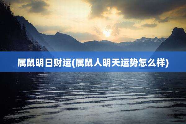 属鼠明日财运(属鼠人明天运势怎么样)