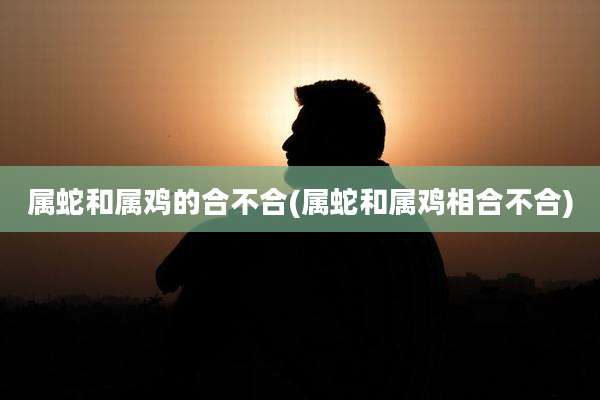 属蛇和属鸡的合不合(属蛇和属鸡相合不合)