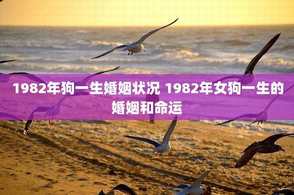 1982年狗一生婚姻状况 1982年女狗一生的婚姻和命运