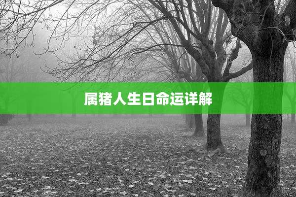 属猪人生日命运详解
