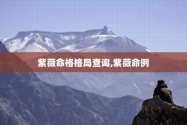 紫薇命格格局查询,紫薇命例