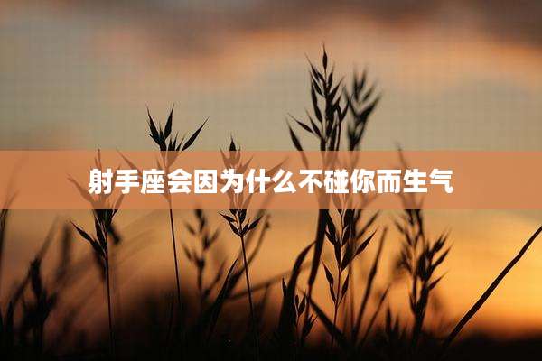 射手座会因为什么不碰你而生气