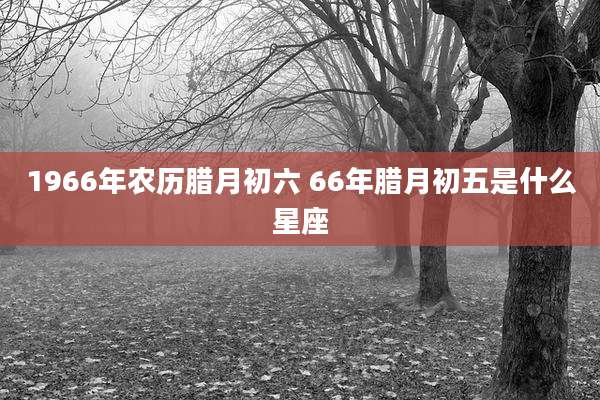 1966年农历腊月初六 66年腊月初五是什么星座
