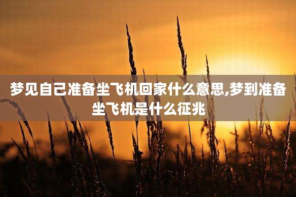 梦见自己准备坐飞机回家什么意思,梦到准备坐飞机是什么征兆