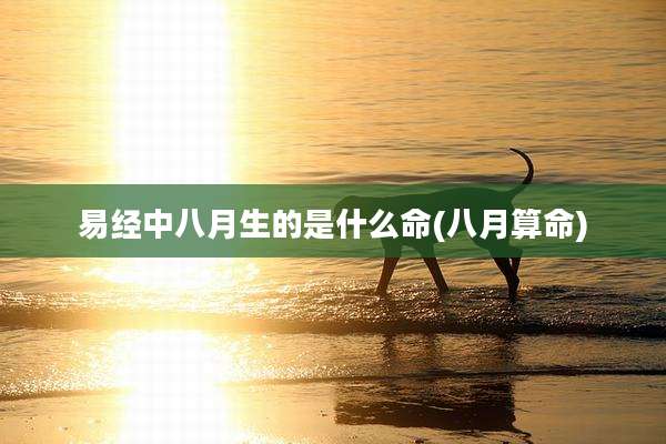 易经中八月生的是什么命(八月算命)