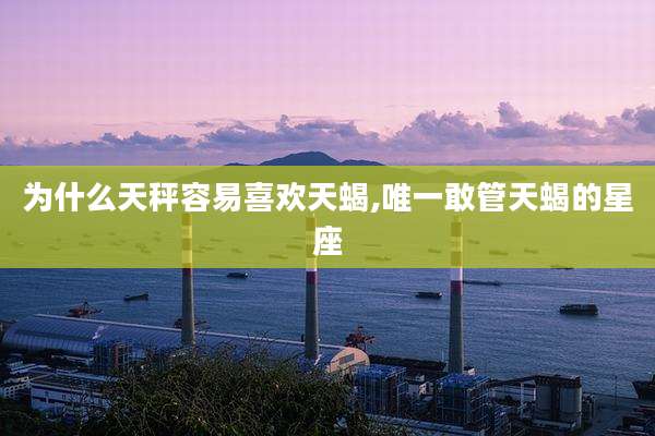 为什么天秤容易喜欢天蝎,唯一敢管天蝎的星座
