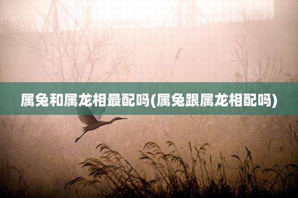 属兔和属龙相最配吗(属兔跟属龙相配吗)