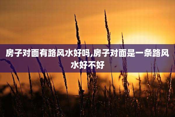 房子对面有路风水好吗,房子对面是一条路风水好不好