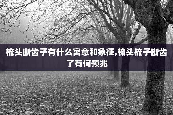 梳头断齿子有什么寓意和象征,梳头梳子断齿了有何预兆