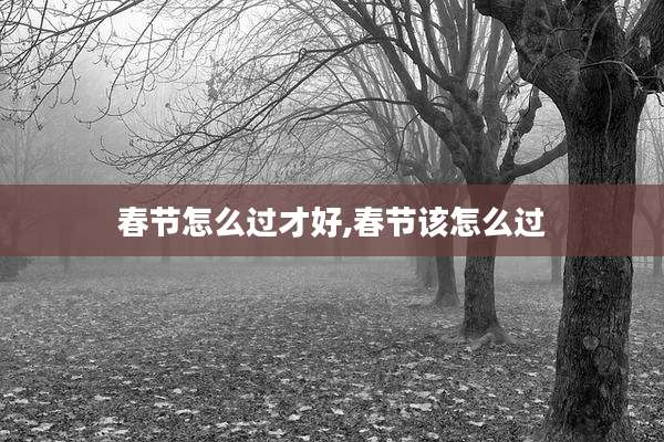 春节怎么过才好,春节该怎么过