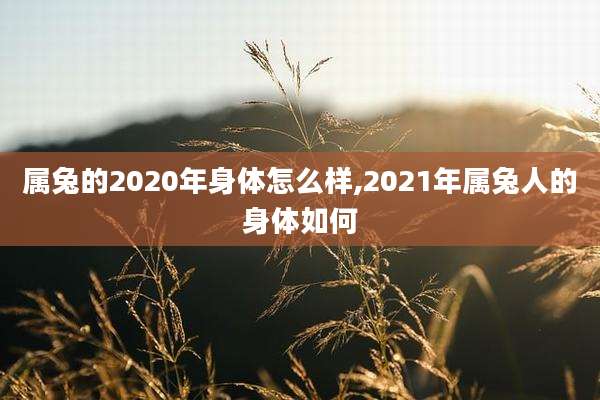属兔的2020年身体怎么样,2021年属兔人的身体如何
