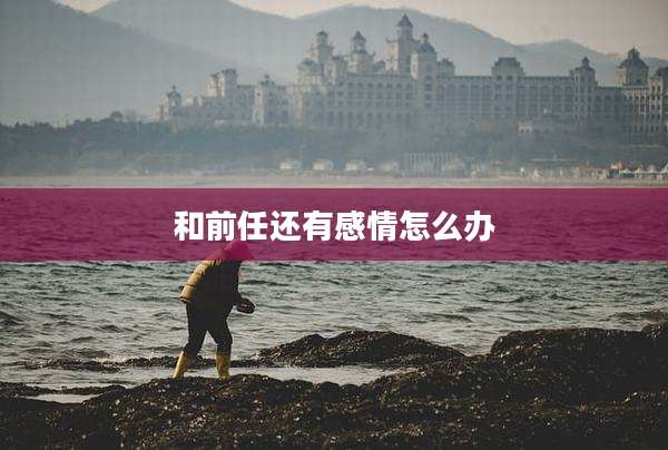 和前任还有感情怎么办