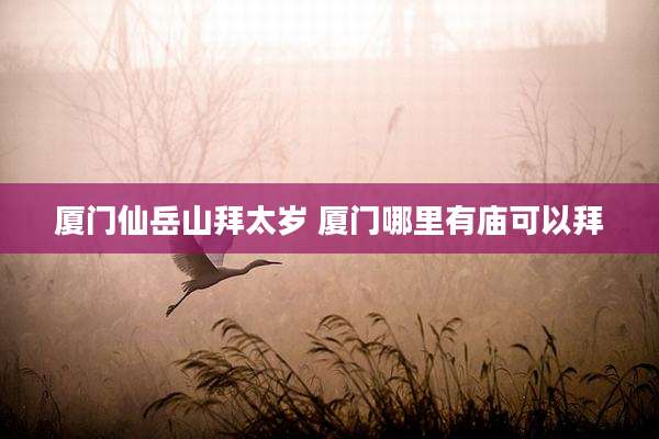 厦门仙岳山拜太岁 厦门哪里有庙可以拜
