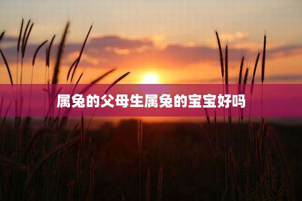 属兔的父母生属兔的宝宝好吗