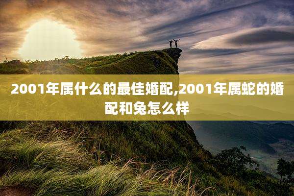 2001年属什么的最佳婚配,2001年属蛇的婚配和兔怎么样
