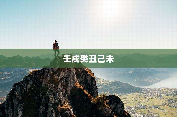 壬戌癸丑己未