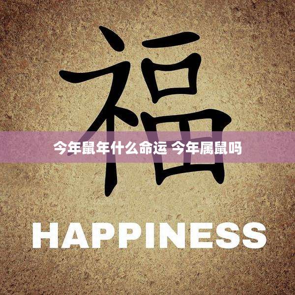 今年鼠年什么命运 今年属鼠吗