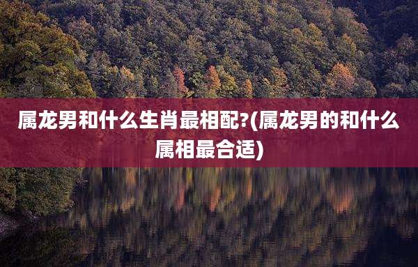 属龙男和什么生肖最相配?(属龙男的和什么属相最合适)