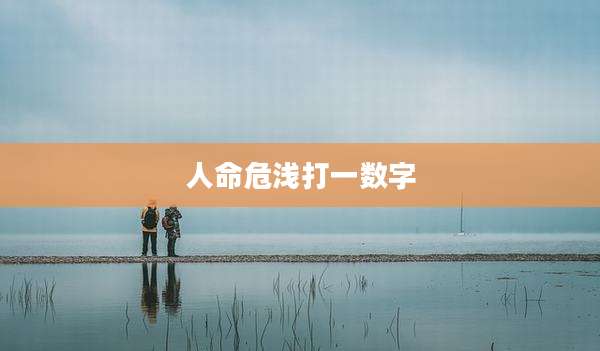 人命危浅打一数字