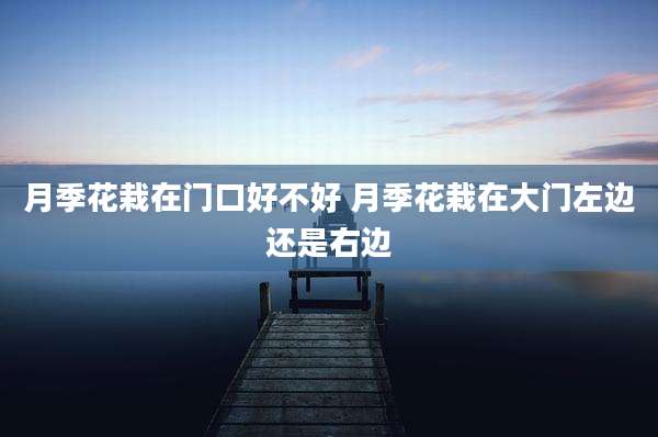 月季花栽在门口好不好 月季花栽在大门左边还是右边