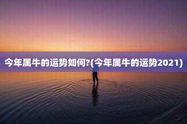 今年属牛的运势如何?(今年属牛的运势2021)