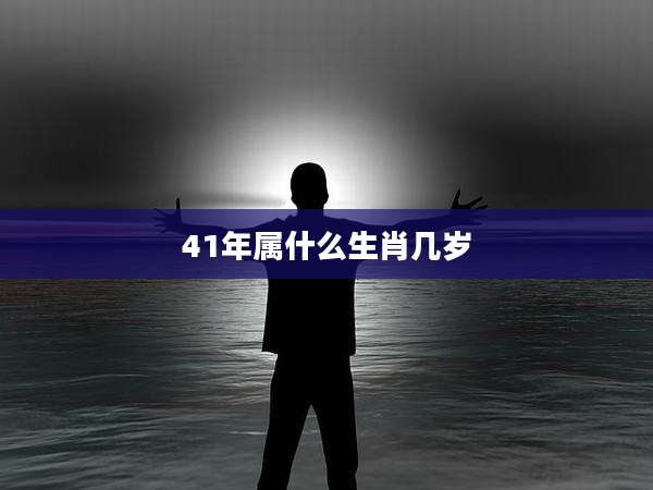 41年属什么生肖几岁