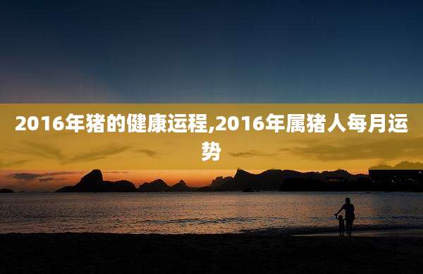 2016年猪的健康运程,2016年属猪人每月运势