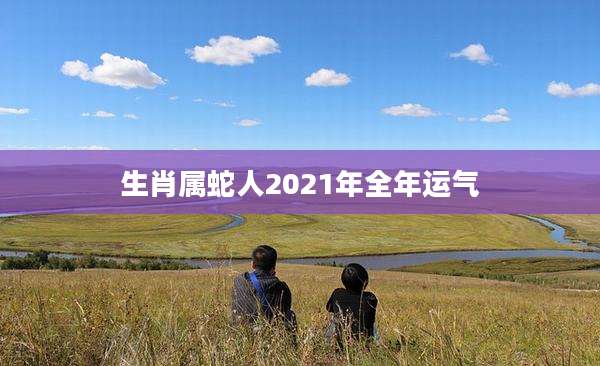 生肖属蛇人2021年全年运气